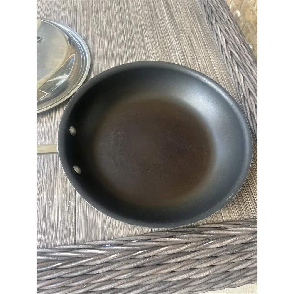 All-Clad Stainless Steel 10